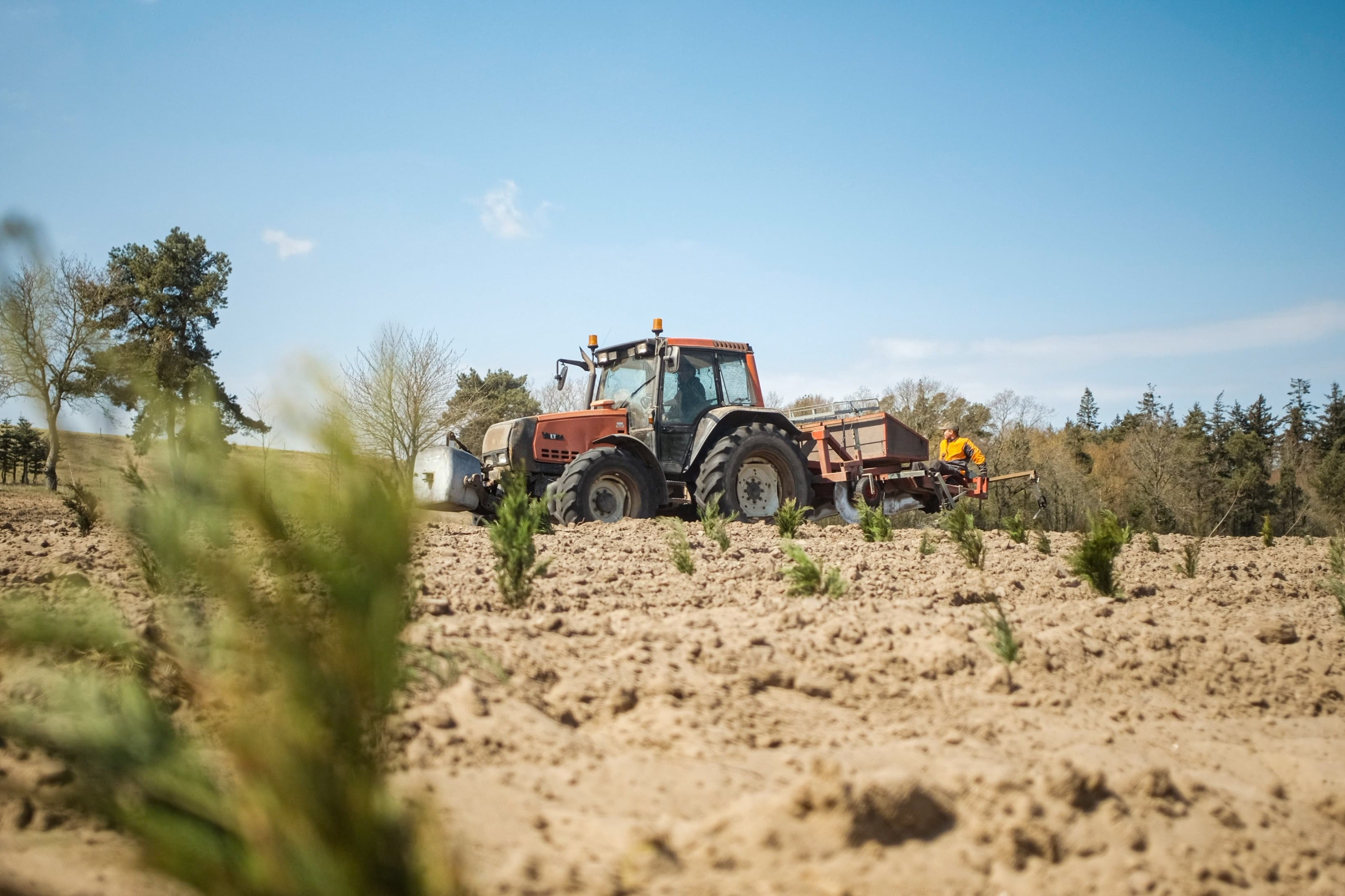 Traktor der er ved at plante træer på en mark