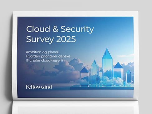 Rapport: Cloud & Security Survey 2025