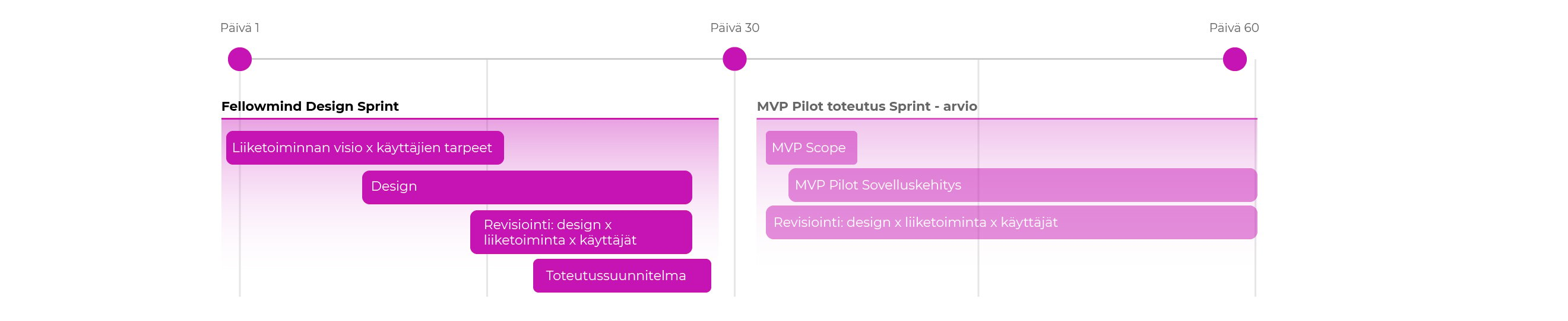 Fellowmind+project+plan01.jpg