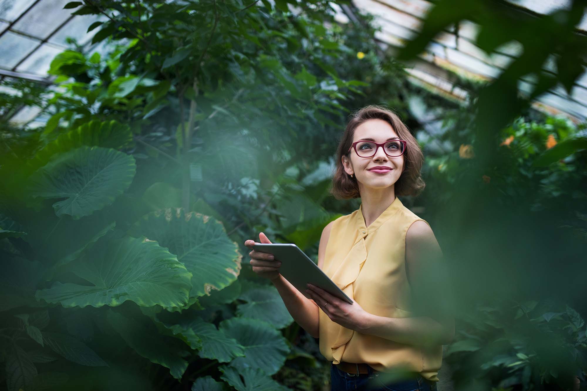 Rozwiązanie Microsoft Cloud for Sustainability w ofercie Fellowmind