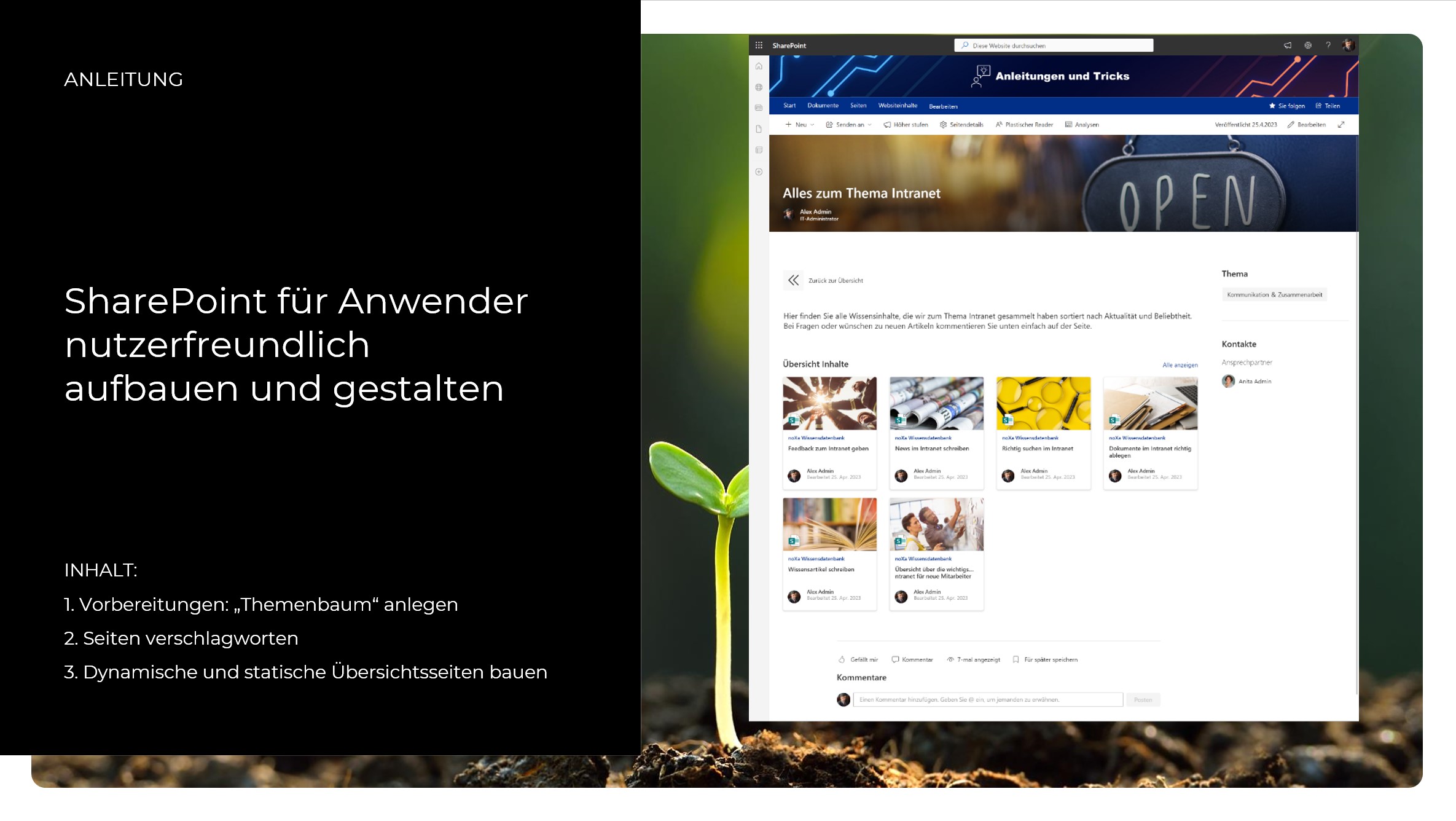 SharePoint-Online-einrichten-anleitung