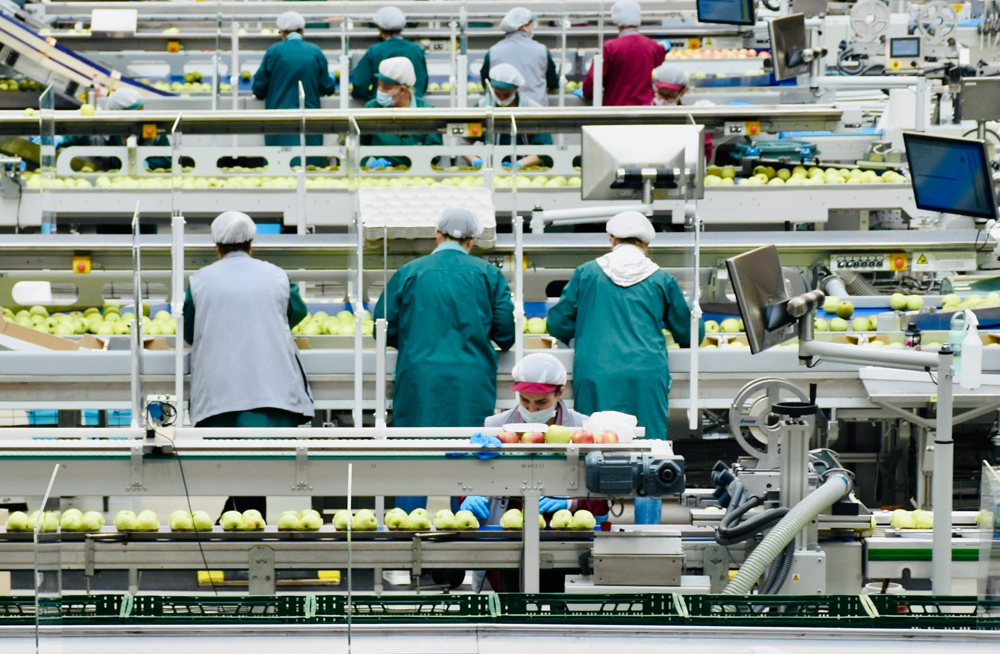 traceability (1).jpg